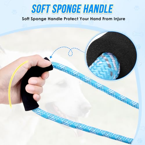 Hands Free Dog Leash (Blue Diagonal Stripe)