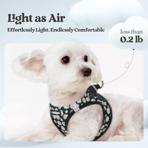 Dog Harness Small Sized and Leash Set (Midnight Daisy / S (chest: 15.1 - 16.5"))