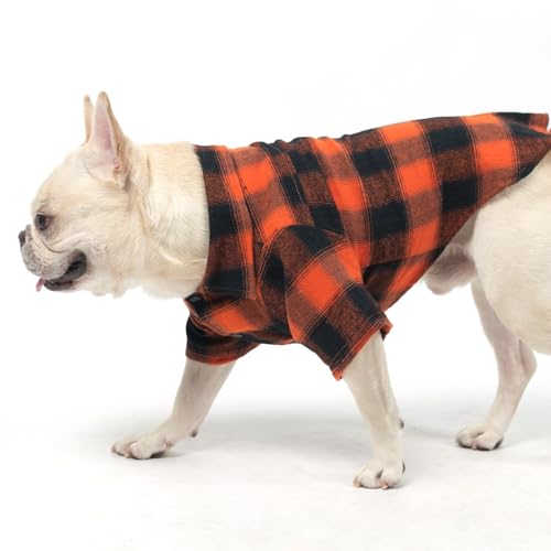 Fall Dog Shirt (Small / Orange)