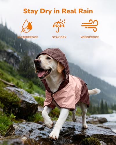 Waterproof Dog Raincoat with Hood (Medium / Pink)