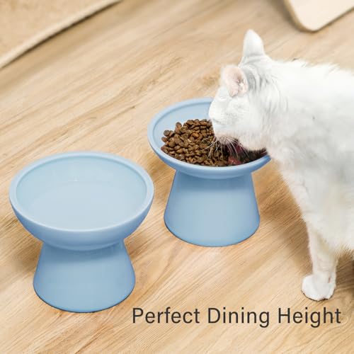 2 Pack Elevated Ceramic Cat Bowls Extra Wide for Food & Water (Baby Blue)