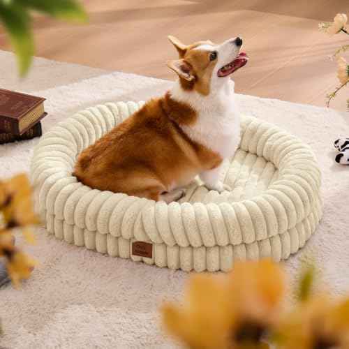 Orthopedic Dog Bed (Sandy Beige / L(35*28*7))