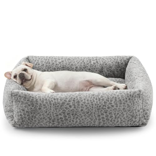 Dog Bed for Small Medium Dogs (Grey / S PLUS (25"x21"x7"))