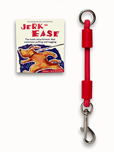 BUNGEE DOG LEASH EXTENSION (Medium (up to 60 pounds) / Red)