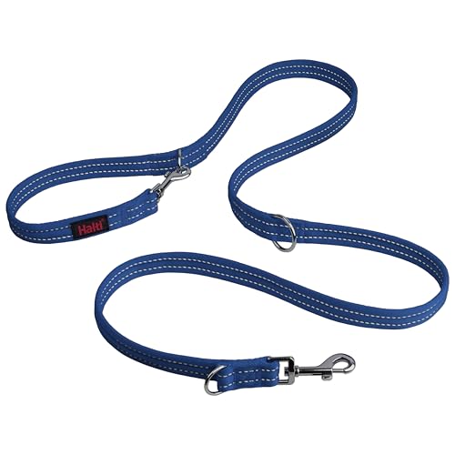 Training Dog Leash (Small / Cobalt Blue)