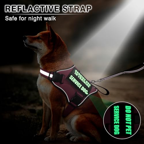 Service Dog Vest Harness and Leash Set+10 Patches (Medium / Pink)