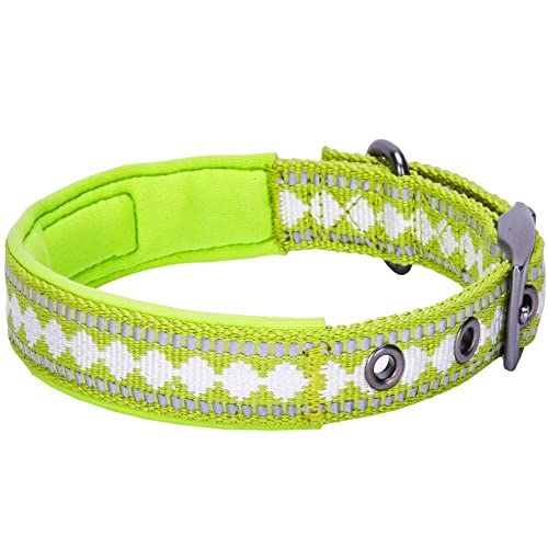 Reflective Jacquard Dog Collar with Neoprene Padding & Metal Buckle (Large / Metal Buckle-Macaw Green)