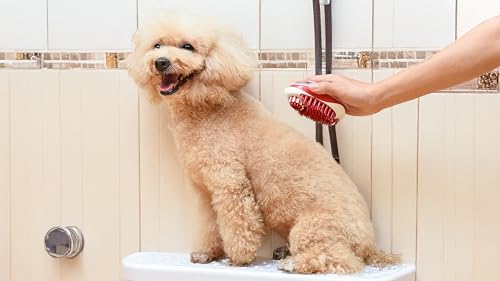 Soap Dispensing Palm Brush for Dog Bathing (Red - Soap Dispensing Palm Brush / 1 Count (Pack of 1))