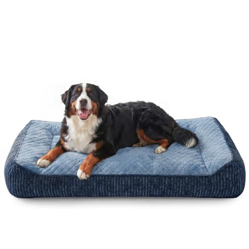XL Orthopedic Dog Bed for Large Dogs (XL Plus(45"L x 32"W x 9.5"Th) / Blue)