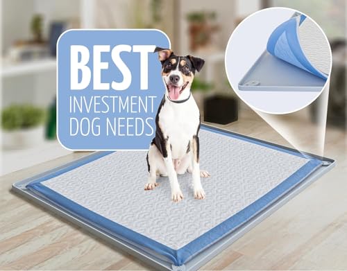 Dog Pee Pad Holder Tray Fits for 30” x 23” Pee Pads (30 x 23 Inches / Sky Grey)