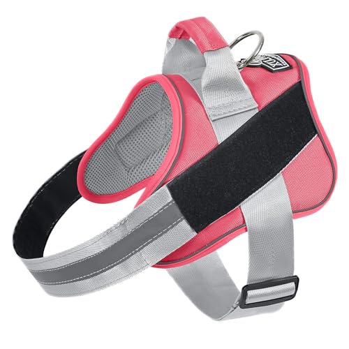 Dog Harness No (Small (Pack of 1) / Camellia)