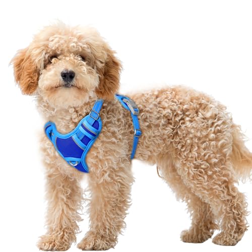 Dog Harness for Small Sized Dog No Pull Dog Vest ID Tag Pocket (Sapphire Blue & Blue / X-Small)