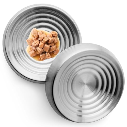 Cat Bowls Whisker Friendly Food Bowl for Indoor Cats (Dish - Set of Two / Stainless Steel)