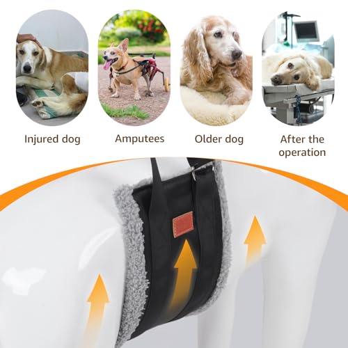 Adjustable Dog Sling for Extra Large Dogs Mobility Aid for Weak Rear Legs (Grey & Black / X-Large)