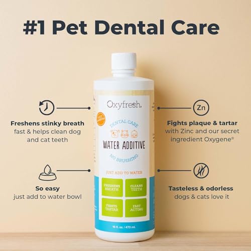 Premium Pet Dental Care Solution Pet Water Additive (16 Fl Oz (Pack of 1))