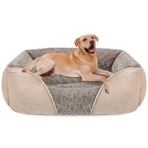 XX Large Dog Bed for Large (XXL(42"x 30"x 10") / Beige)