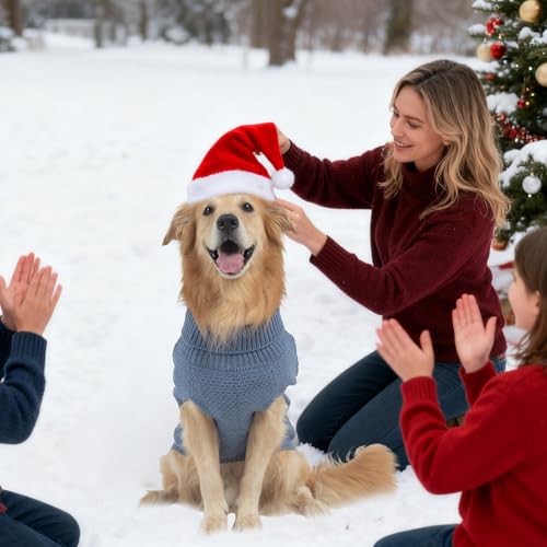 Turtleneck Dog Sweater (X-Large / Grayish Blue)
