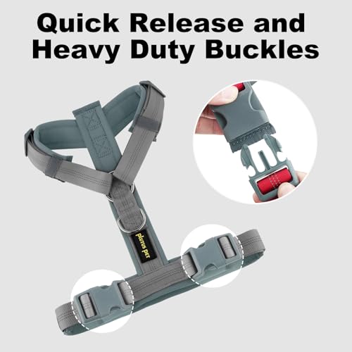 No Pull Dog Harness (L / Gray)