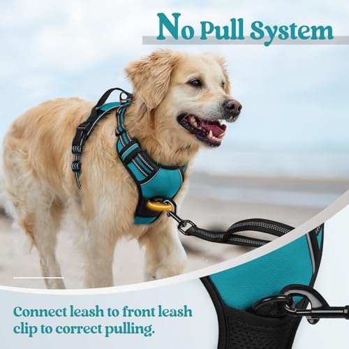 Dog Harness No Pull for Large Dogs with 2 Leash Clips (X-Large / Teal)