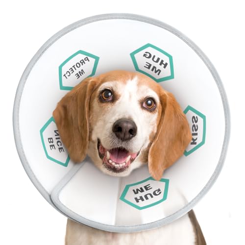 Dog Cone Collar After Surgery to Stop Licking (Green / S(Neck: 11.5~12.6"))