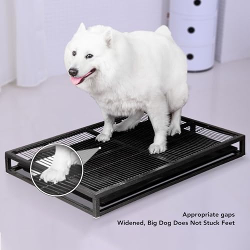 Dog Potty Training Tray with Detachable Drawer (L 37cm)