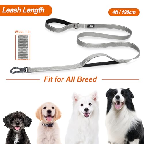 5FT 1IN Heavy Duty Dog Leash for Large Dogs with 2 Padded Handles (Grey / 1 in x 5 ft)