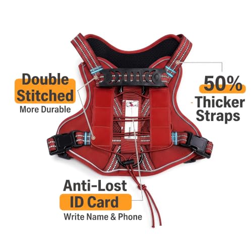 Dog Harness and Leash Set for Small Dogs (Red / S)