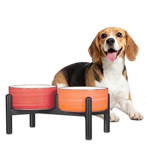 Ceramic Elevated Dog Bowl Set (Thread Orange+Red / 3.5 Cups)