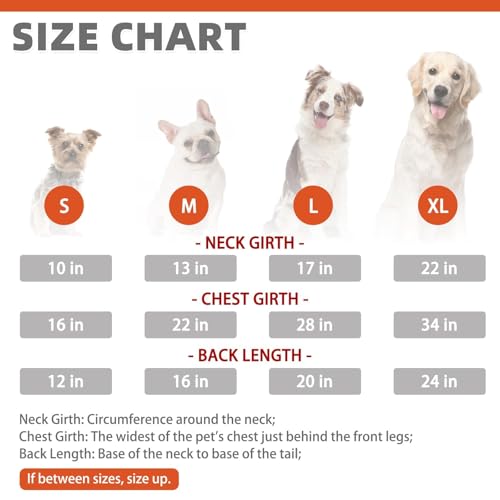 Fall Dog Shirt (Medium / Orange)