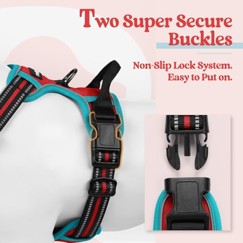 Dog Harness No Pull Medium Sized with 2 Leash Clips (Medium / Red & Teal)