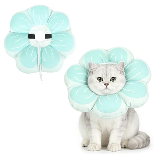 Cat Cone Collar (Blue / M - Neck Up to 10.5")