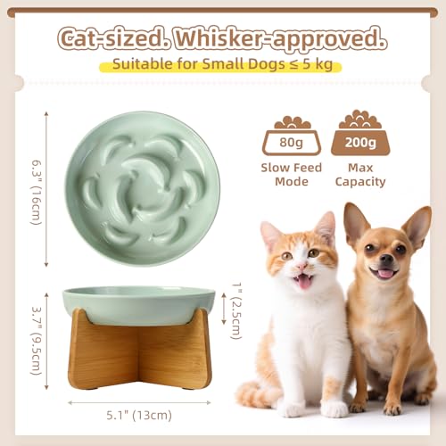 Elevated Slow Feeder Cat Bowl (Green + Bamboo Base / 7"H)