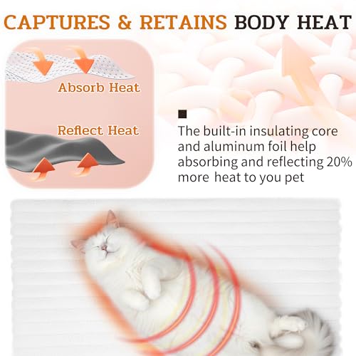 Soft Plush Fluffy Self Warming Thermal Pet Mat for Dogs and Cats (Creamy White / Large (35'' X 23'' X 1''))