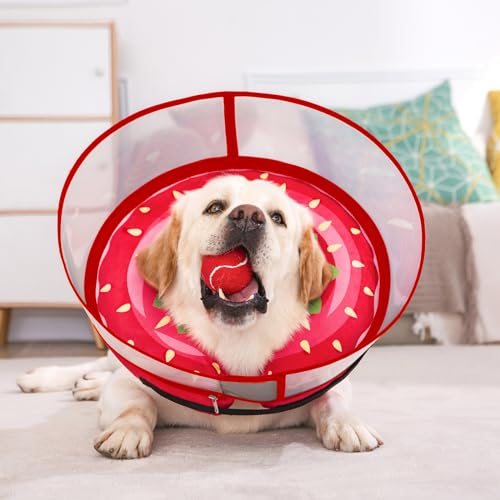 Inflatable Dog Cone Collar for Large Medium Small Dogs (Strawberry / Medium Plus)