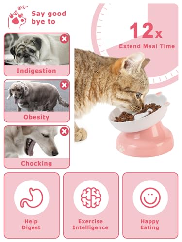 Ceramic Slow Feeder Cat Bowl (Pink)