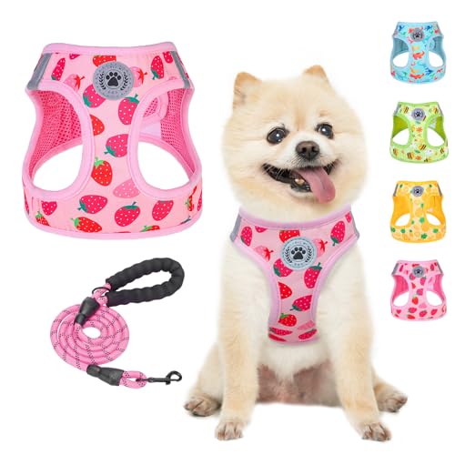 Small Dog Harness and Leash Set (XSmall(Chest Girth 13" - 14.5") / Strawberry)