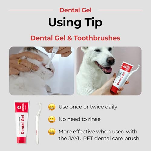 Dental Gel Dog Cat Toothpaste (Toothpaste / 1 Count (Pack of 1))