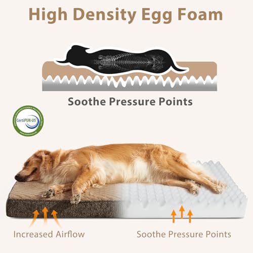Orthopedic Medium Dog Bed (M(29"x18") / Brown)