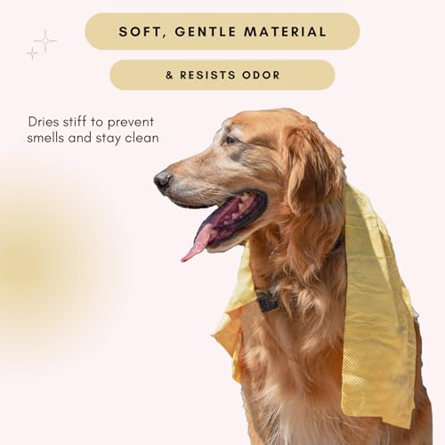 HydroSwipe for Dogs