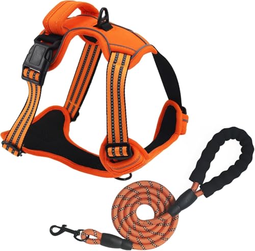 No Pull Dog Harness for Large Dog with Leash (Orange / L)