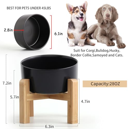 Black Elevated (Black / 3.6 CUPS - Medium Dog Bowls)