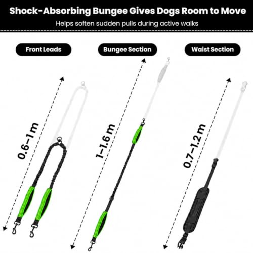 Hands Free Double Dog Leash (Black Green)