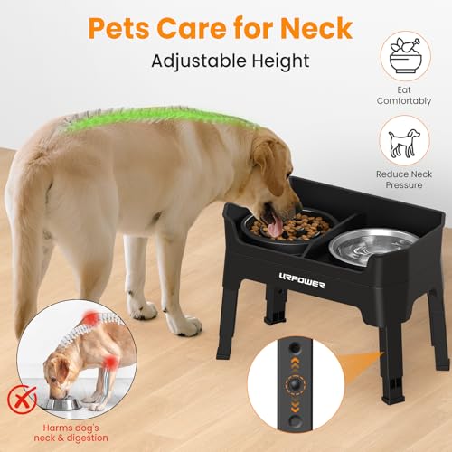 Mess Proof Elevated Dog Bowls Double Deck Slow Feeder (Jet Black / Large)