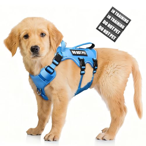 Escape Proof Dog Harness with Double Handle+4 Removable Patches (Small / Blue)