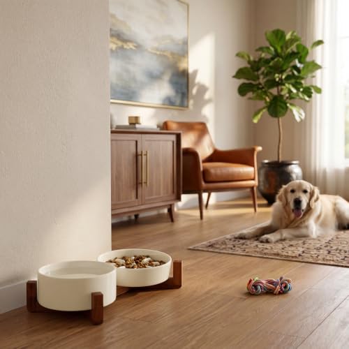 WHUD Elevated Ceramic Dog Bowls with Wooden Stand for Small to Medium Sized Dogs