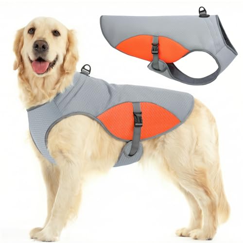Cooling Vest for Extra (Orange / XXX-Large)