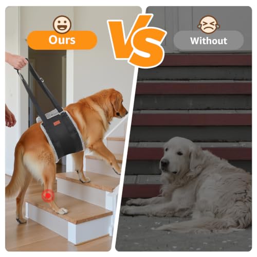 Adjustable Dog Lift Harness (Black / X-Large)