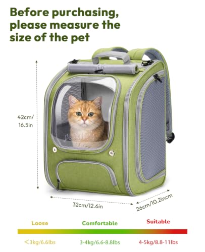 Cat Backpack Carrier (Light Green / 12.6"L x 10.2"W x 16.5"H)