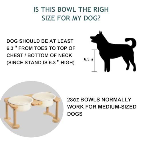 Elevated Ceramic Dog Bowl with Stand (Double Bowls+Stand (Cream White) / M-28OZ)