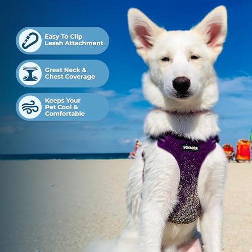 Voyager Step in Flex Adjustable Dog Harness (Harness (Purple) / S)